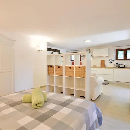 Loft Pina